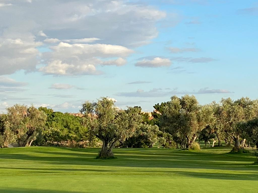 Software Development